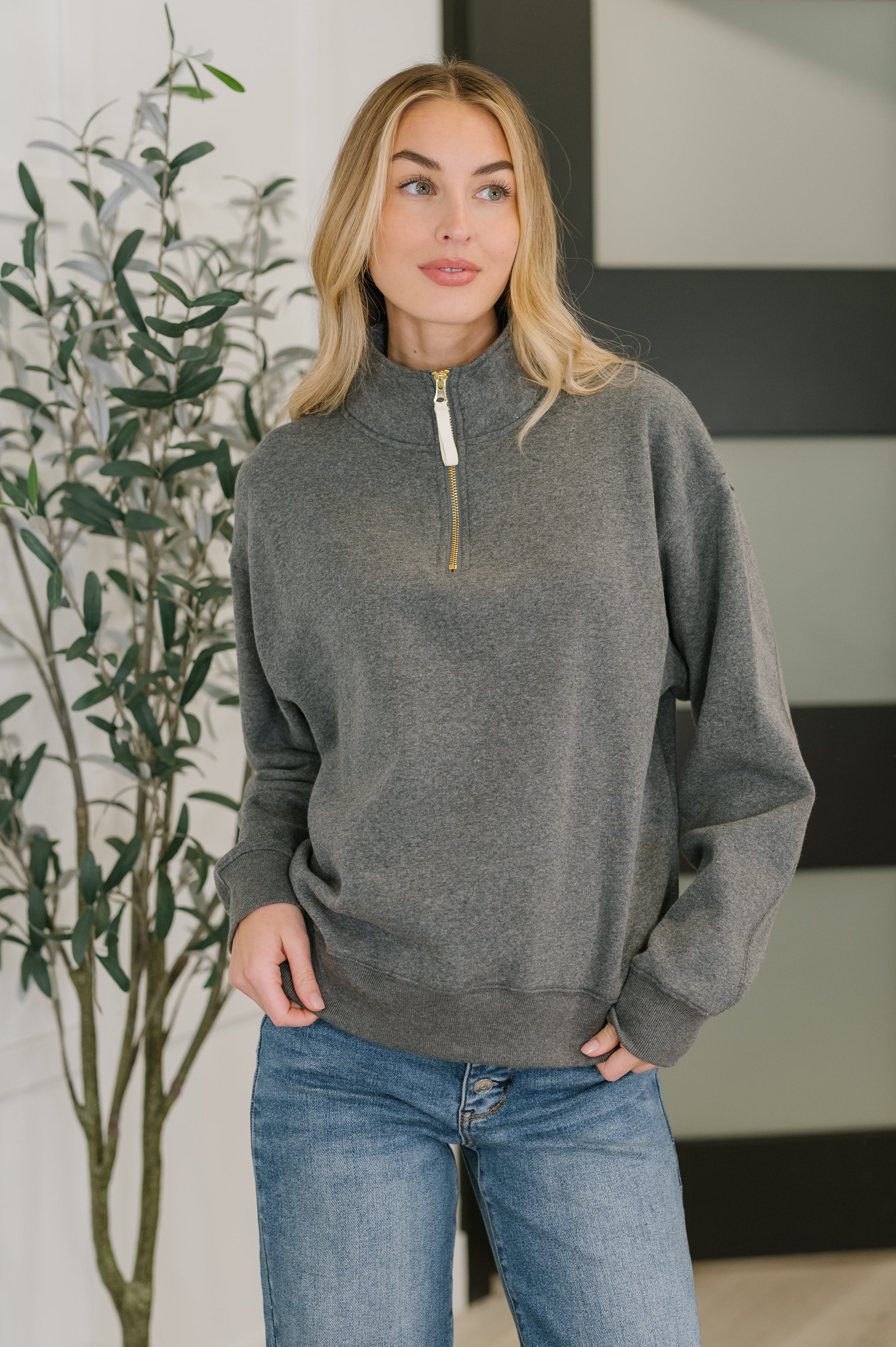 Sweater Weather Half Zip High Neck Pullover • Charcoal
