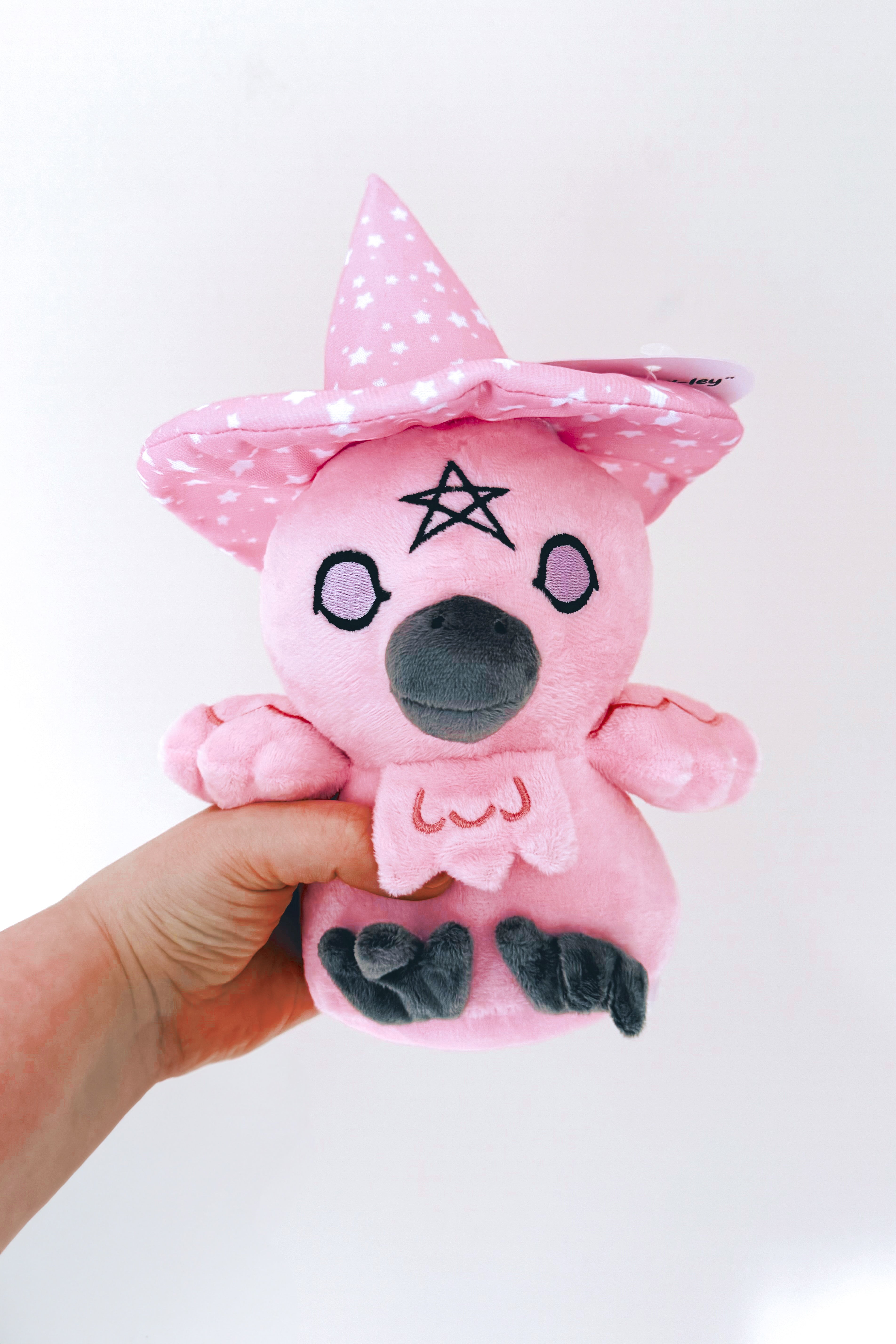 Hand holding front view of Alice Crowley pink crow plushie with embroidered pentagram and star-patterned witch hat against white background
