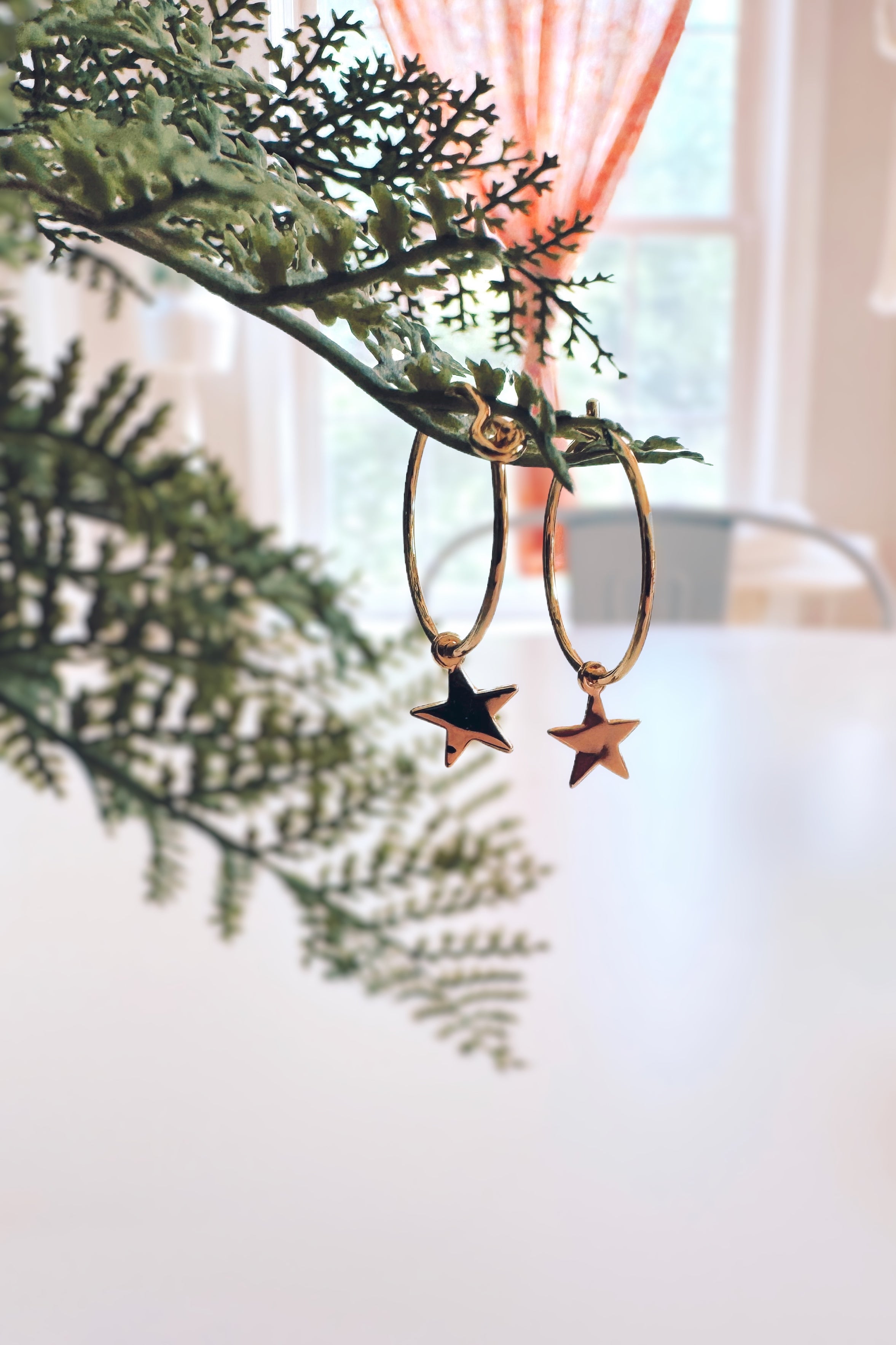 Gold hoop earrings with star charms hanging from a green fern branch in bright indoor setting with orange curtains