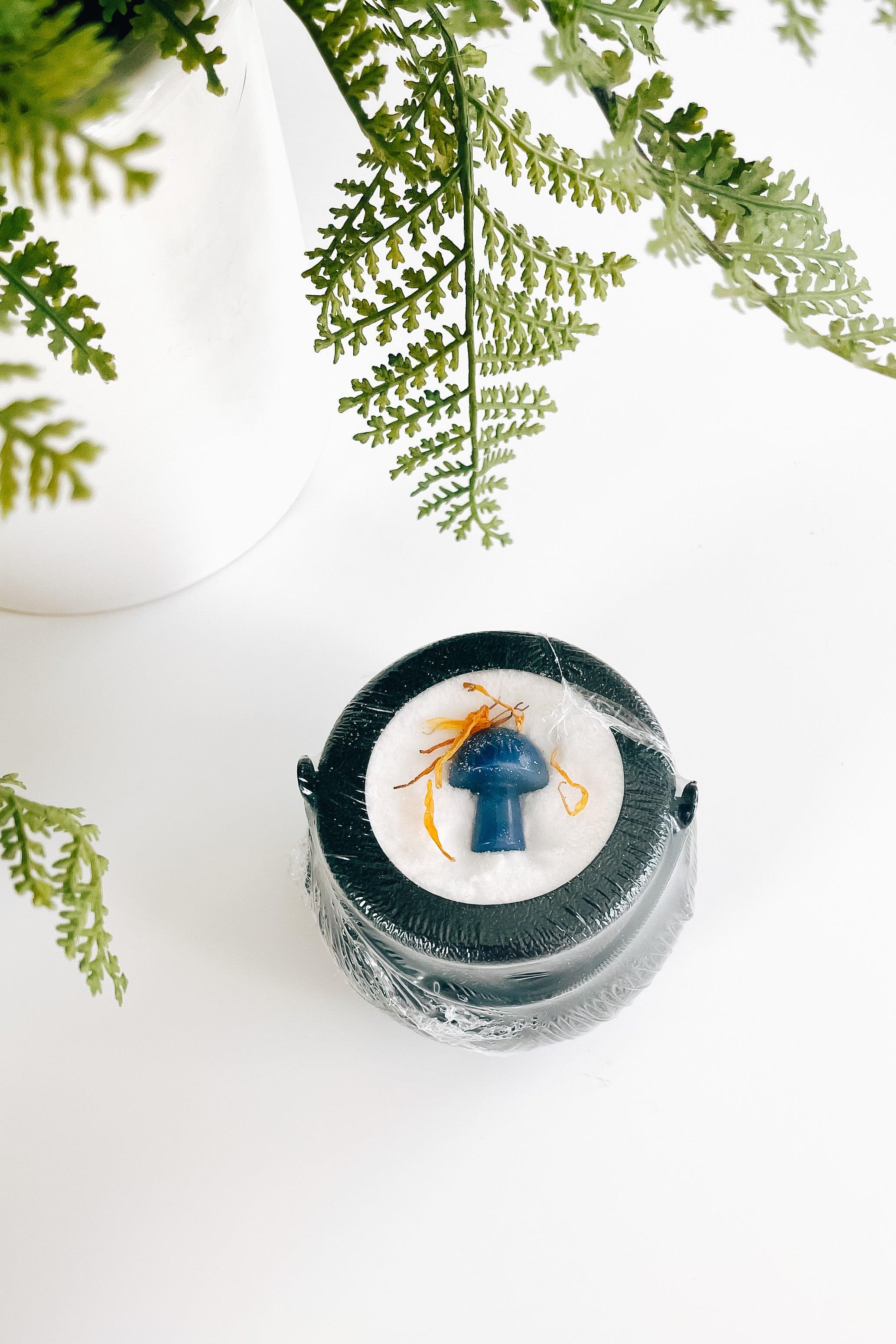 Black cauldron bath bomb with a small blue mushroom crystal and dried orange flower on white surface beneath green fern leaves